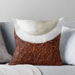 Coconut Fibre Pillow