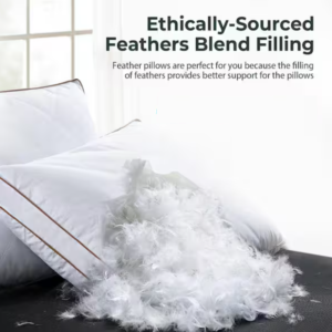 Down Feather Pillows