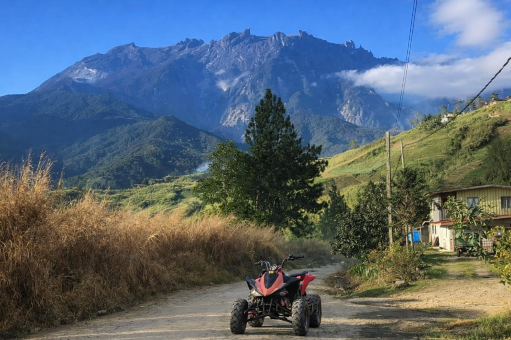 atv dfsd