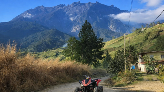 atv dfsd