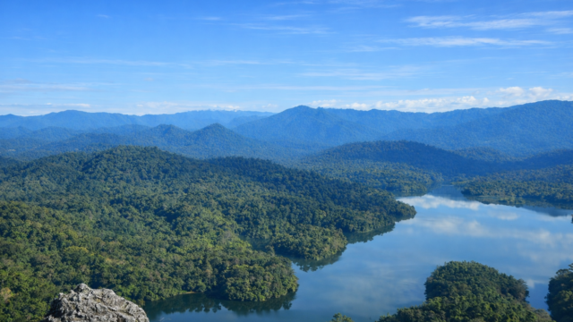 bukit tabur