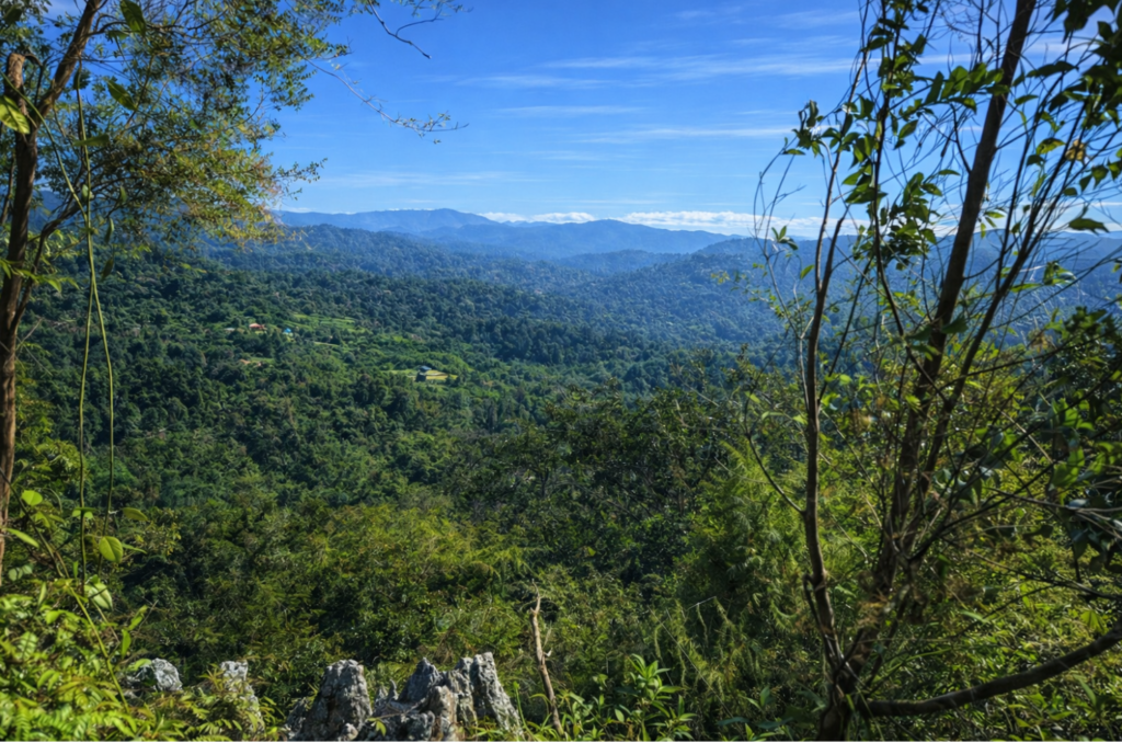 bukit tabur csdsd dsdf