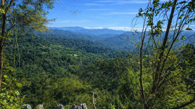 bukit tabur csdsd dsdf