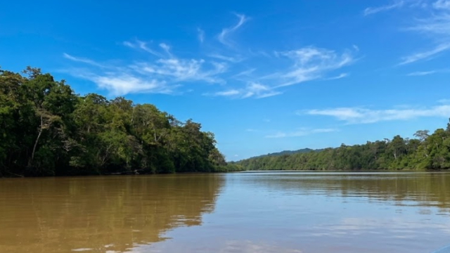 kinabatangan sadsa dfas sdas