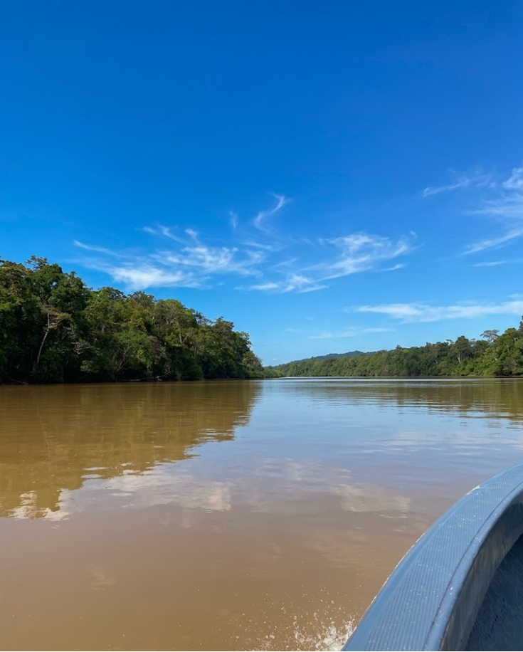 kinabatangan sadsa dfas sdas