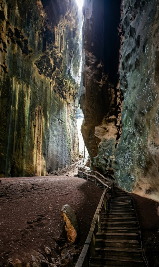 kinabatangan sadsa dfas