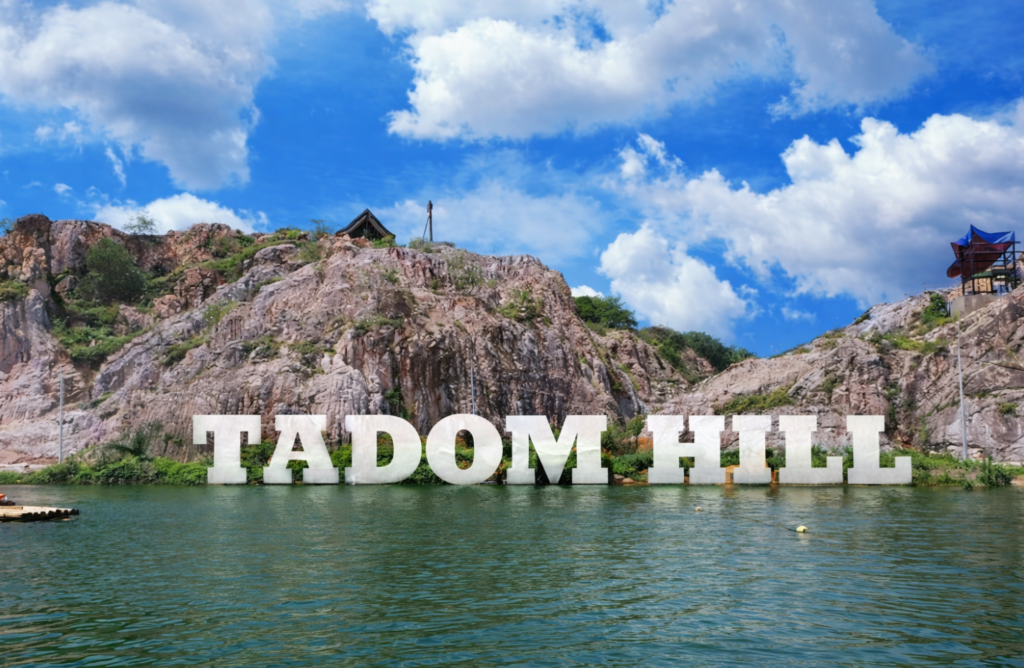 tadom adas