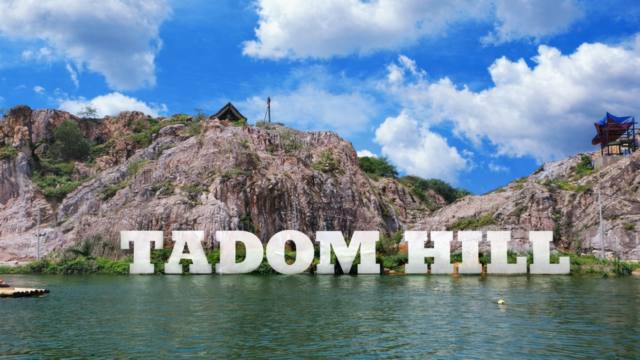 tadom adas