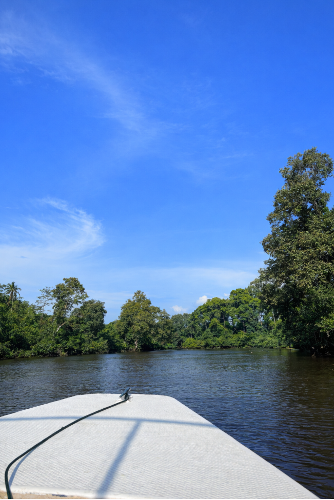 wetland s fgdf dfsdf dsfd dssa dsa das