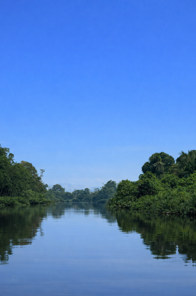 wetland s fgdf dfsdf dsfd dssa dsa