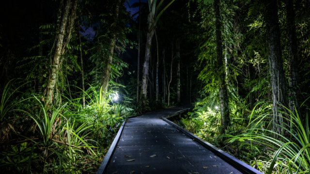 cairns botanical vsdd asds