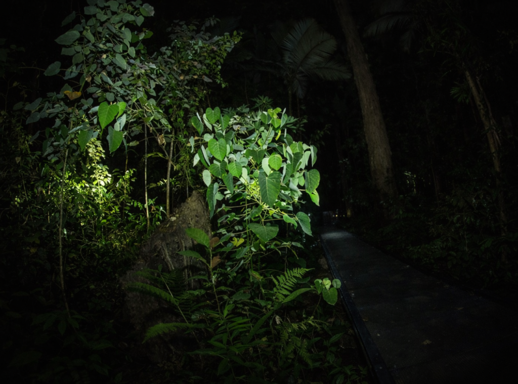 cairns botanical vsdd asds asd