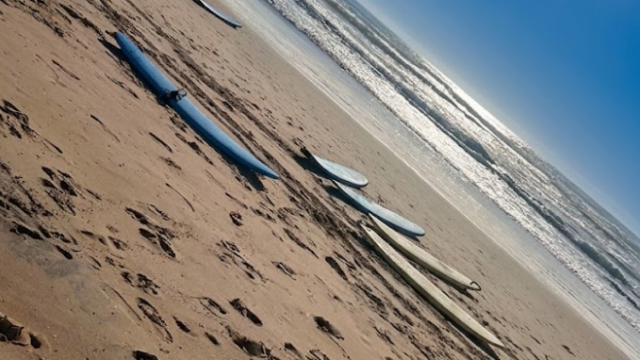 gold coast surfer paradise dfsdczxczx