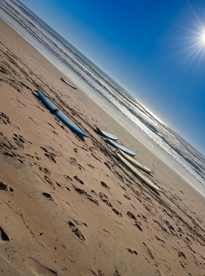 gold coast surfer paradise dfsdczxczx