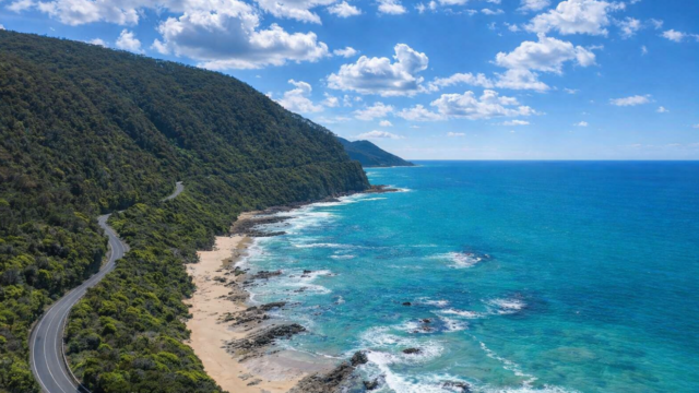 great ocean road dvsd
