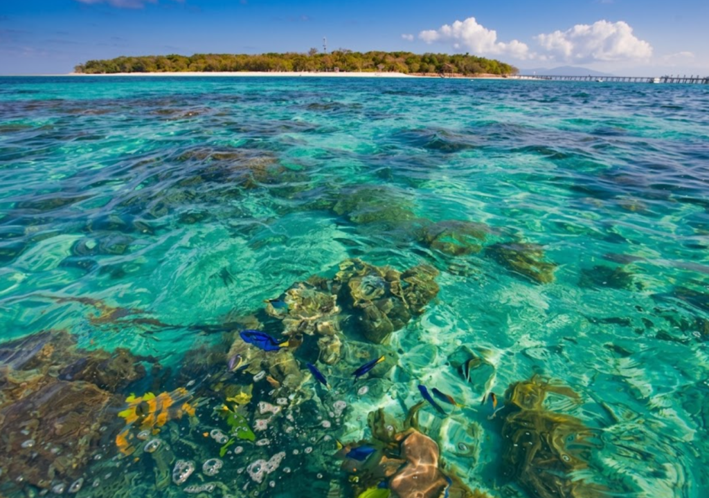 green island da csdfds