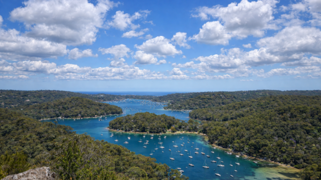 ku-ring-gai national park