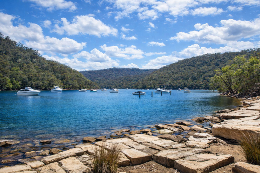 ku-ring-gai national park ddsf