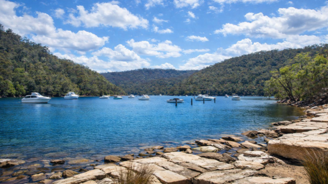 ku-ring-gai national park ddsf