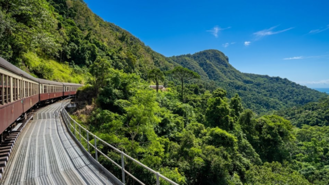 kuranda scenic railway sdasd dszxczc