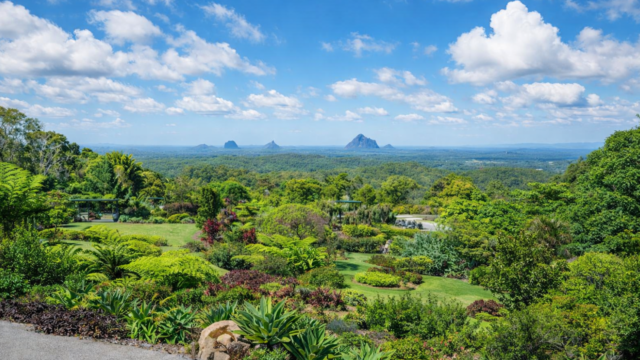 maleny botanic garden