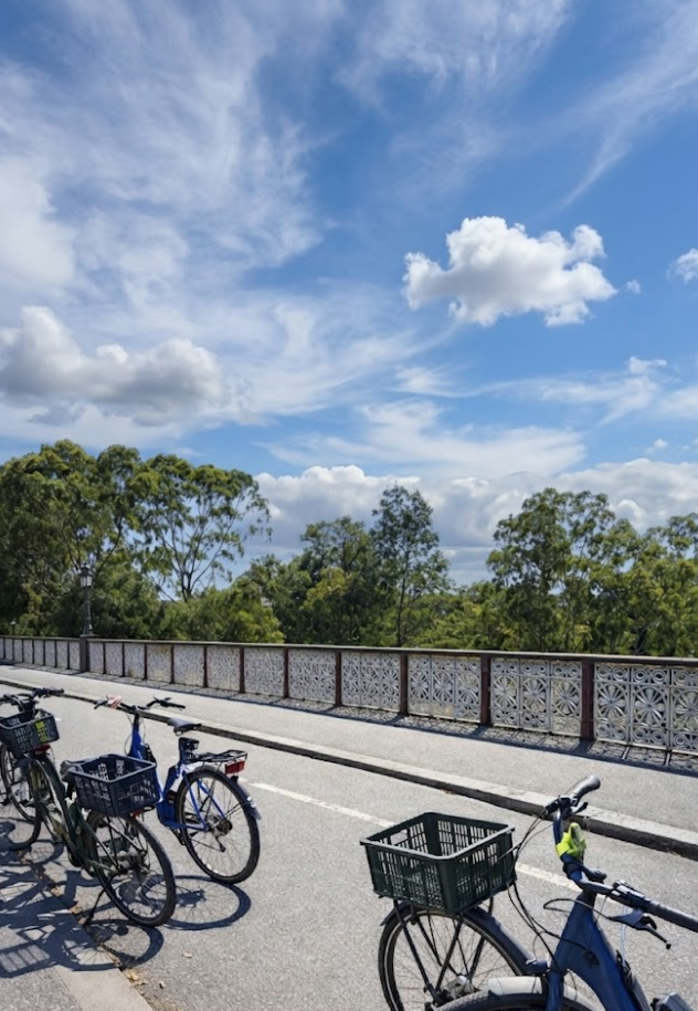 melbourne e bike csf fsdfd dsfsd