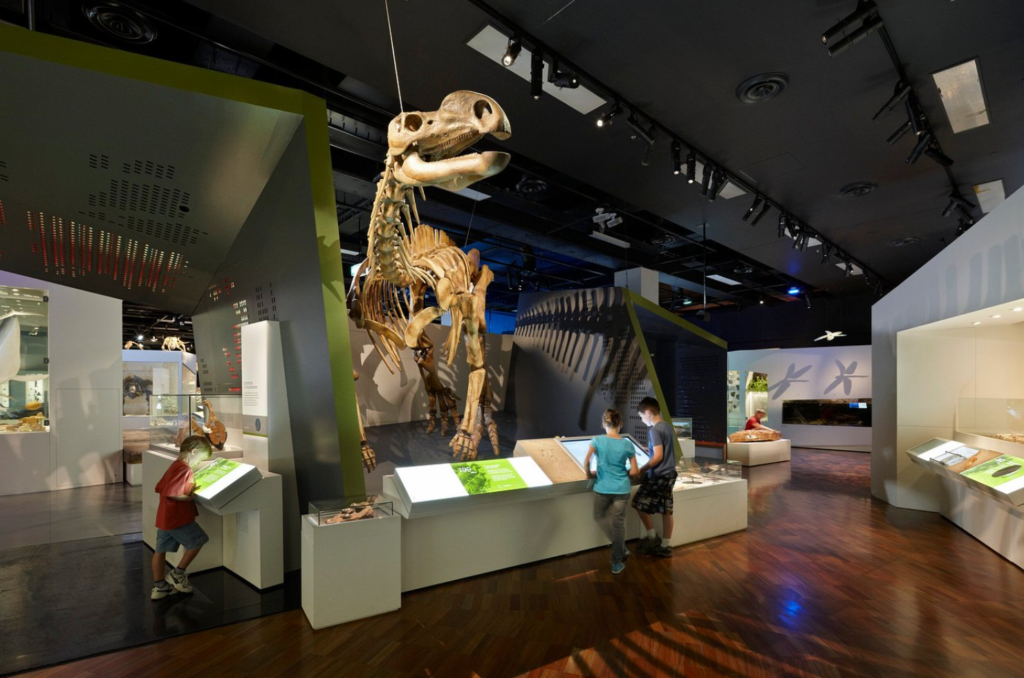 melbourne museum htyhty sdcdas