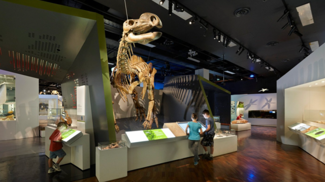 melbourne museum htyhty sdcdas