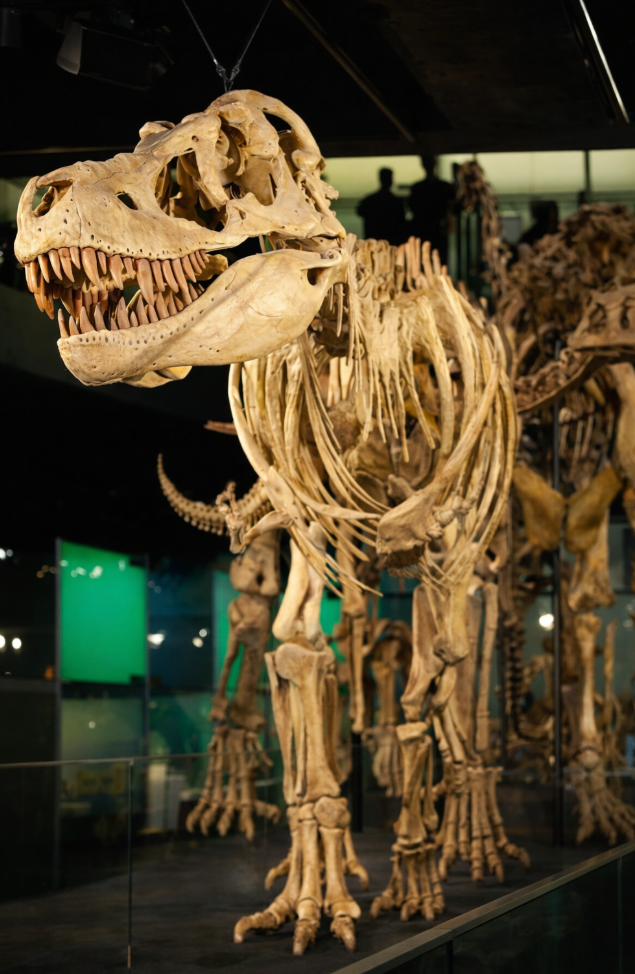 melbourne museum