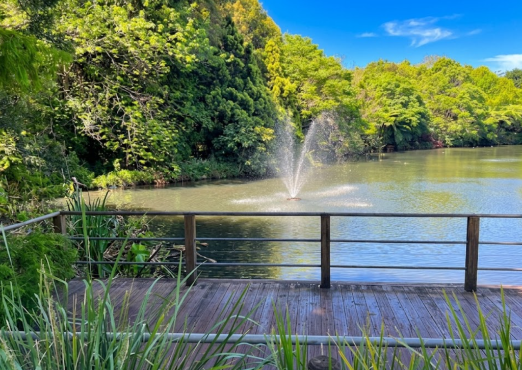 mount tamborine