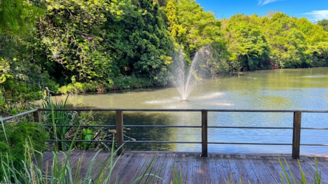 mount tamborine