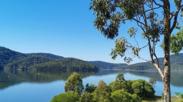 mount tamborine sd vfdfsvd dasd
