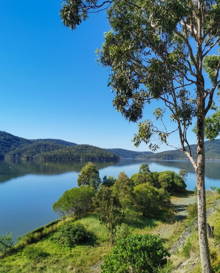 mount tamborine sd vfdfsvd dasd