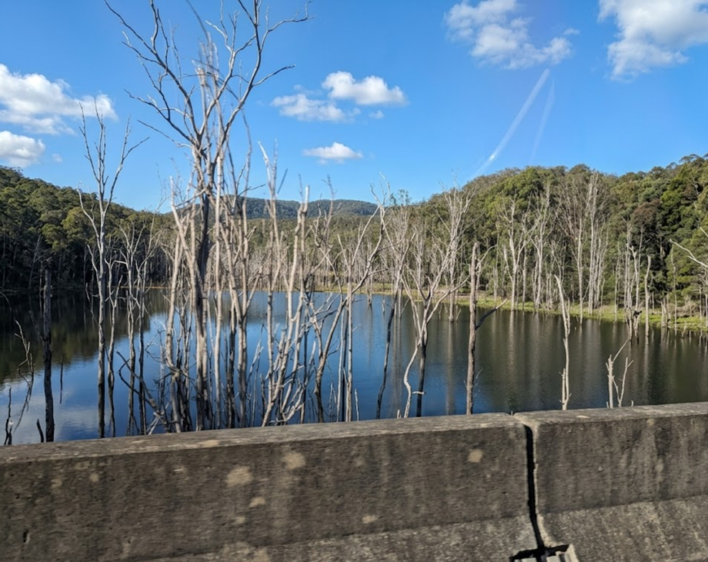 mount tamborine ssadas
