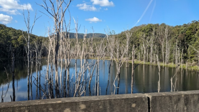 mount tamborine ssadas