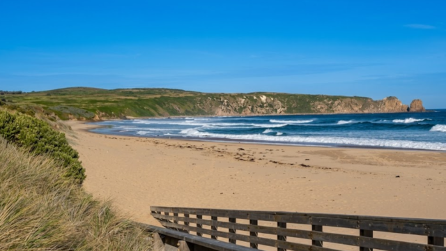 philip island casvcxszxas