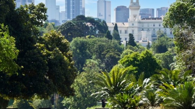 royal botanical garden melbourne