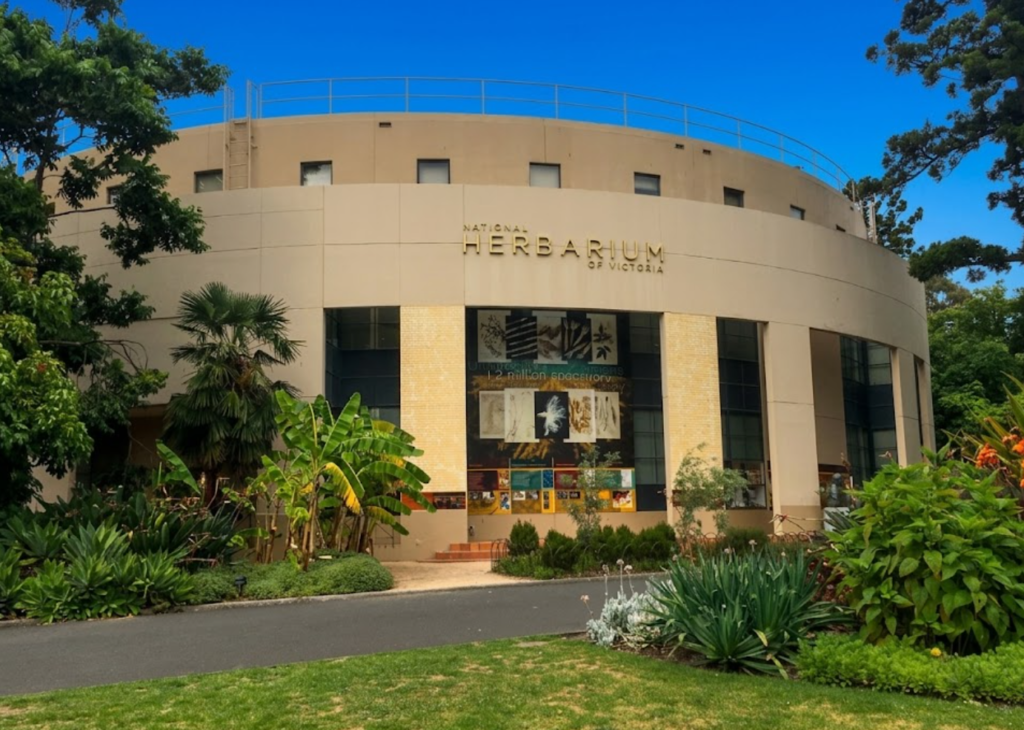 royal botanical garden melbourne d sfs