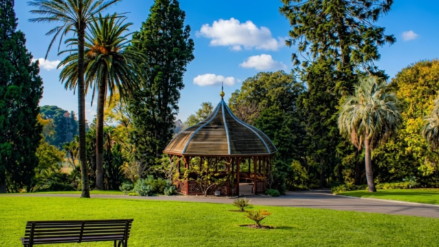 royal botanical garden melbourne d sfs sda