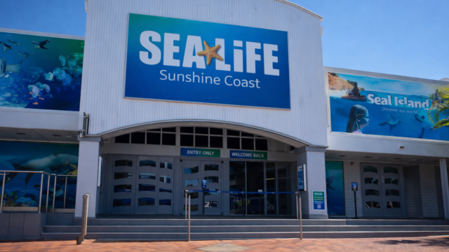 sealife sunshine dds sd da