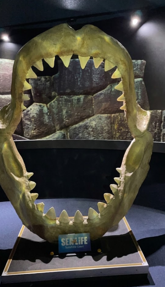 sealife sunshine dds sd daad