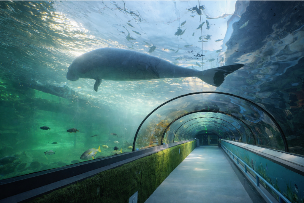 sydney sea life