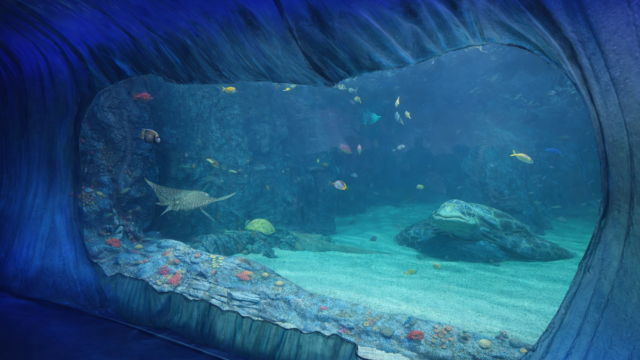 sydney sea life jyj dfs sadas