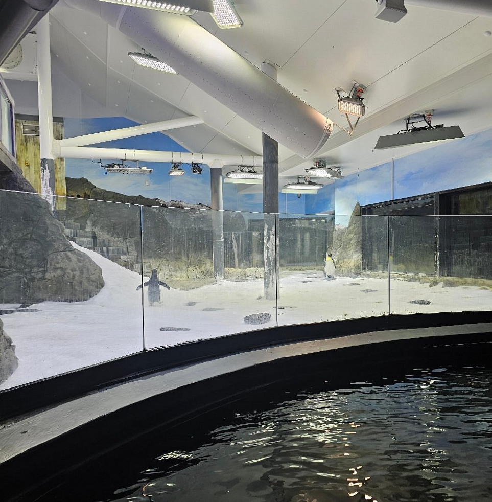 sydney sea life jyj