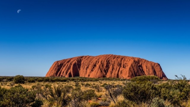 uluru csd scasd