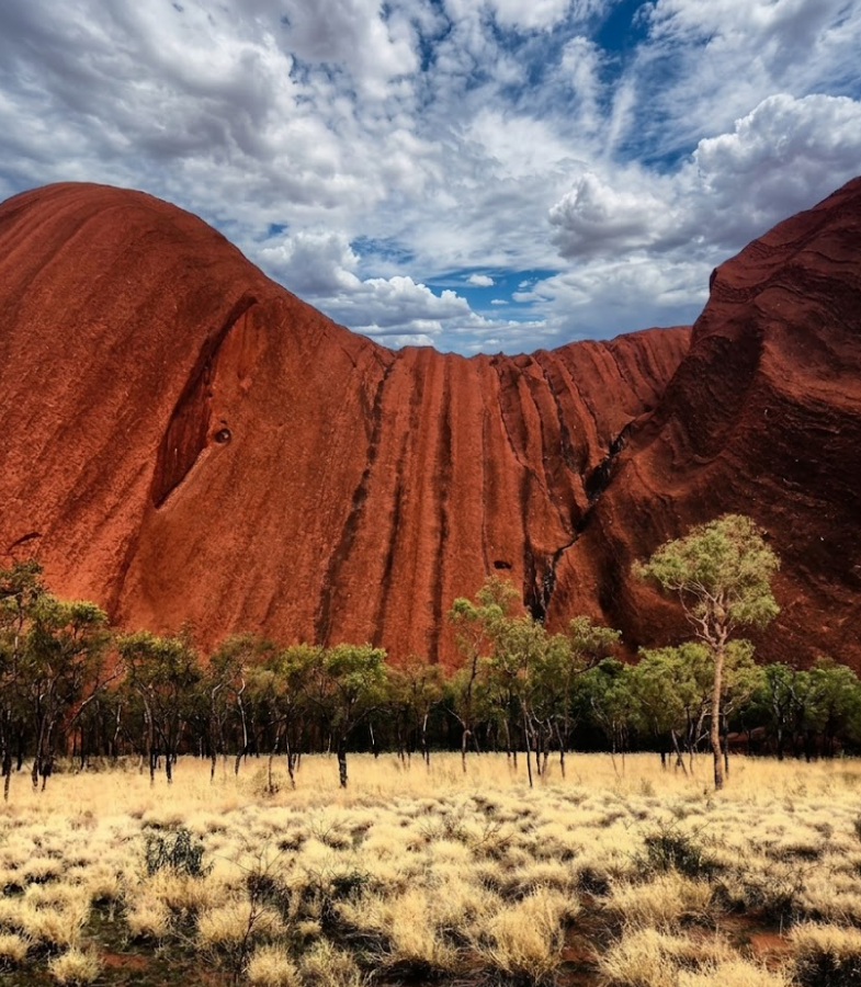 uluru csd