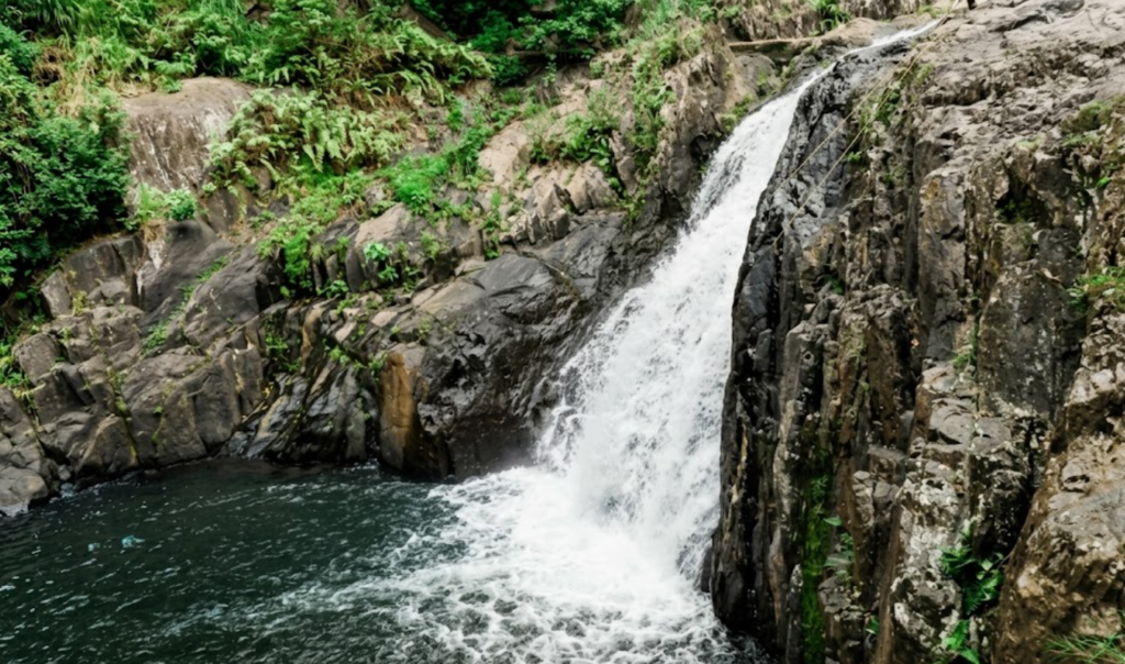 behana gorge casd
