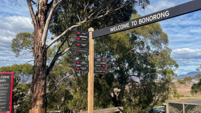 bonorong sdfs vsd