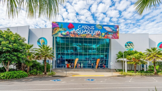 cairns aquarium