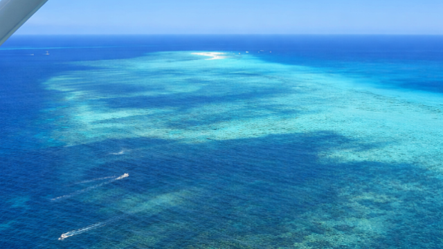 great barrier reef vsdfsd sdasd